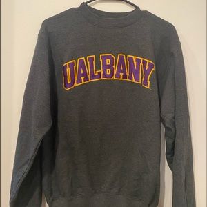 Ualbany champion crewneck